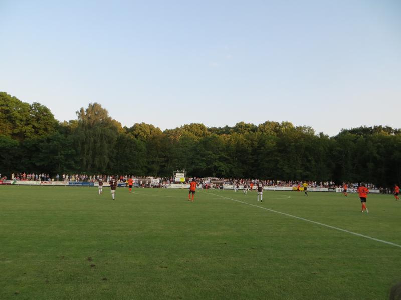Landespokalfinale 23.07.2014 FT Braunschweig - BSV Schwarz Weiss Rehden, 
